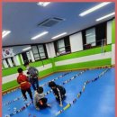 경희대 튼튼태권도 이미지