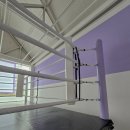 팔로니아 복싱 이미지