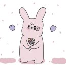 렌탈어때 이미지