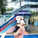 육림풀장 이미지