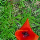 남순천의원 이미지