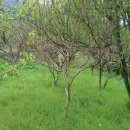 군령경로당 이미지