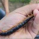 적음농장 이미지