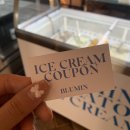 로샤벨라 | [BLUMIN] 블루민 쇼룸, 시티패딩 블랙 / COS 코스 퀄티드 구름빵 오버사이즈 화이트 후기