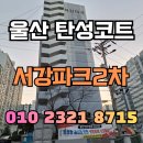 은월로 | 울산 탄성코트 서강파크2차 베란다 곰팡이 오염 제거