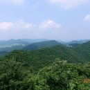 무안영산 이미지