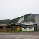 (합)제일택시 이미지