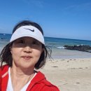 2026 제주utmb 참가 후기.feat 쩝쩝박사 이미지