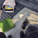 CU 거제동부산양점 이미지