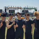 잔나비
