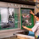 양천소방서 목동119안전센터 이미지