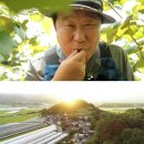 성내농장 이미지