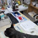 나주종합동물병원 이미지