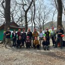 아보리스트 2급 자격증 과정 이미지