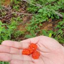 하양보건지소 이미지