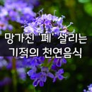 해병대패밀리 8월 13일 건강정보 이미지