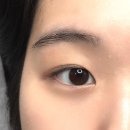 코하루 | 동작구 속눈썹펌 추천 코하루 스튜디오 후기 + 눈썹 컨설팅까지
