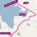 눈큰새우게스트하우스 이미지