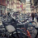 에덴동물병원 이미지