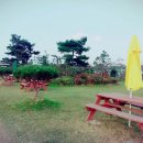 사슴이랑 배랑 농원 이미지