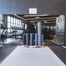 라이언짐 이미지