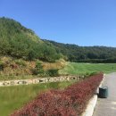 일본&일본문화 이미지