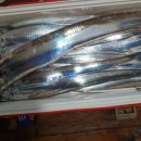 1대물호 이미지