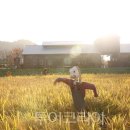 매일관광(주) 이미지