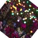 아름다운쇼핑나라 이미지