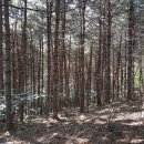 춘천정도공인중개사사무소 Daum카페