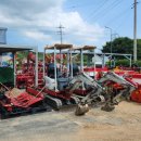 연한