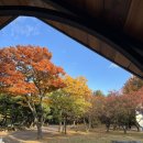 테라커피 부천중동시장점 이미지