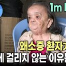 키가 작은 대신 질병에 걸리지 않는 유전자 | 돌연변이 유전자의 양면성 | 암세포 유전자 | 진화와 돌연변이 | 다큐프라임 이미지