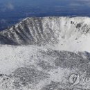 제주청소대통령 이미지