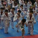 태권박사 & 스포츠 짐 이미지