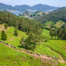 남해-142 이미지