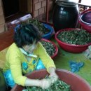 힐링캠프예서원 이미지