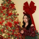 공지로 4R | [공지] 전주 크리스마스 사진관 찾는다면? 스타일무비 스튜디오에서 4년째 이어지는 클스마스 컨셉촬영