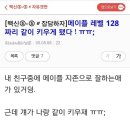 알엠카페