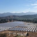 대림태양광발전소 이미지