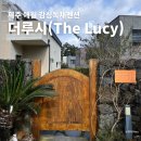 더헤이든 | 더루시 레지던스 | 제주 애월 숙소 에어비앤비 감성 독채펜션 내돈내산 추천