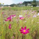 품실채마을 이미지