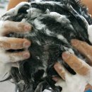 제이더블유(JW)헤어 이미지