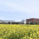 대성오아시스 | 제주도 2박3일 여행후기-2(END)