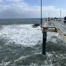 당사해양낚시공원 이미지