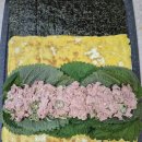 김밥반장 | 치치야! 아~♡ 다이어트 김밥 먹쟝^^