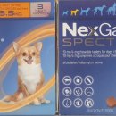 고잔아는약국 이미지