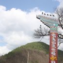 주천면 벚꽃길 이미지