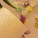 중국성반점 - 고성군 거진길 26 | 중국성반점