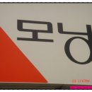 모닝글로리반포